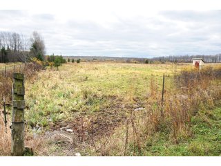 Property photo 90 - REAL ESTATE AUCTION - 1,428+/- ACRES OFFERED IN 10 TRACTS IN PRICE CO., WI